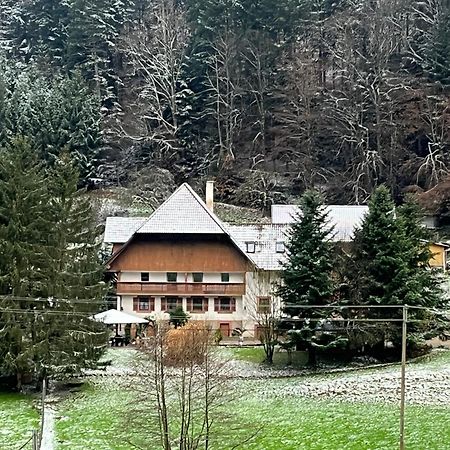 Geraeumige Wohnung Im Schwarzwald Seelbach  Bagian luar foto