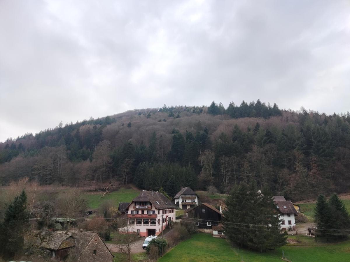 Geraeumige Wohnung Im Schwarzwald Seelbach  Bagian luar foto