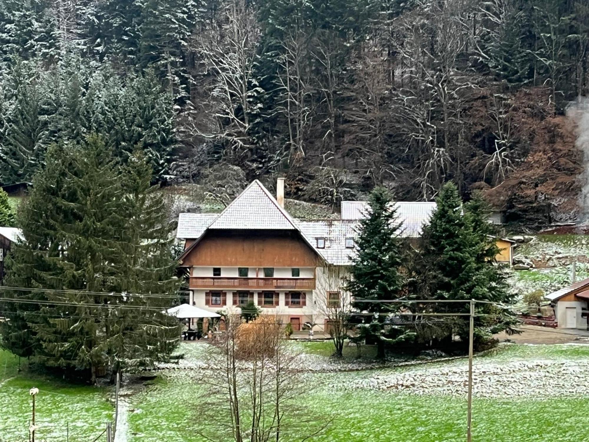 Geraeumige Wohnung Im Schwarzwald Seelbach  Bagian luar foto